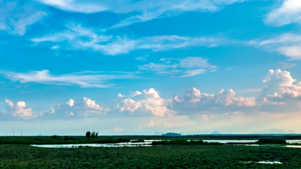 时间推移的滚动浮肿的白云在绿色田野上与蓝天一起移动 — 图库视频影像