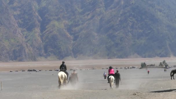 Touristen Reiten Dienstleistungen Mount Bromo Ist Eine Der Meistbesuchten Touristenattraktionen — Stockvideo