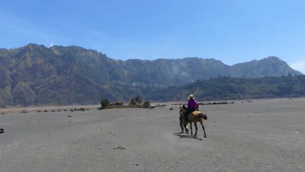 Turyści Usługi Jeździeckie Górze Bromo Jest Jednym Najczęściej Odwiedzanych Atrakcji — Wideo stockowe