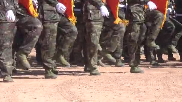 Soldados Com Uniforme Camuflagem Marchando Formação Desfile Dia Nacional Forças — Vídeo de Stock