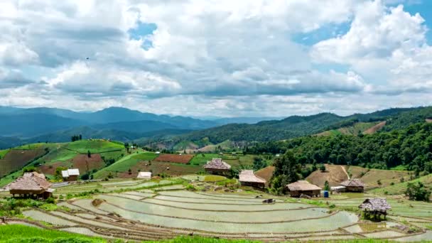 Time Lapse Nubes Moviéndose Sobre Los Campos Terraza Arroz Reflejado — Vídeo de stock