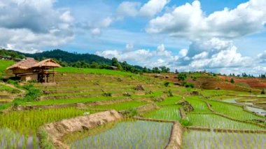 Zaman atlamalı, bulutlar pirinç teras alanları üzerinde hareket PA Bong Piang köyünde su yansıyan Chiang Mai, Tayland. Kamera uzaklaştırma, video 4k