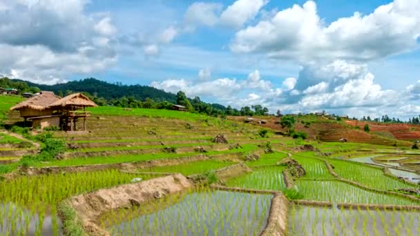 Time Lapse Nubes Moviéndose Sobre Los Campos Terraza Arroz Reflejado — Vídeos de Stock