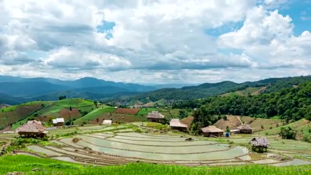 Time Lapse Nubes Moviéndose Sobre Los Campos Terraza Arroz Reflejado — Vídeo de stock