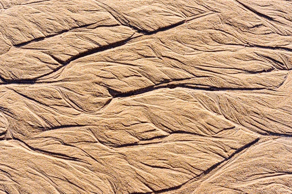 Texture de sable mouillé sur la plage — Photo