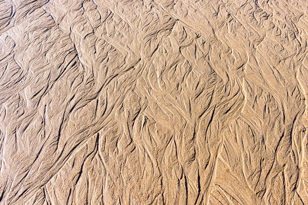 Texture de sable mouillé sur la plage — Photo