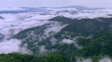 Zaman aşımı videosu 4K, Doi Pha sam Liam, Mae tang, Chiang Mai, Tayland dağının tepesindeki sabah sisi. Pha san Liam Dağları 'nın sisi ve güzel doğası..