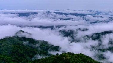 Zaman aşımı videosu 4K, Doi Pha sam Liam, Mae tang, Chiang Mai, Tayland dağının tepesindeki sabah sisi. Pha san Liam Dağları 'nın sisi ve güzel doğası..