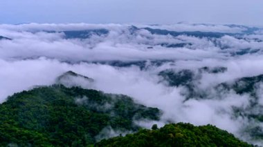 Zaman aşımı videosu 4K, Doi Pha sam Liam, Mae tang, Chiang Mai, Tayland dağının tepesindeki sabah sisi. Pha san Liam Dağları 'nın sisi ve güzel doğası..
