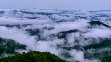 Zaman aşımı videosu 4K, Doi Pha sam Liam, Mae tang, Chiang Mai, Tayland dağının tepesindeki sabah sisi. Pha san Liam Dağları 'nın sisi ve güzel doğası..
