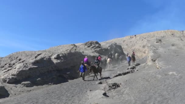 波士顿 2018年9月12日 位于布罗莫山的游客骑马服务是印度尼西亚东爪哇 斯梅鲁 腾格国家公园中游客最多的旅游景点之一 — 图库视频影像