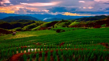 Zaman aşımı videosu 4k, Tayland 'daki Pa Bong Piang köyü Chiang Mai' deki pirinç tarlalarının üzerinden bulutlar geçiyor..