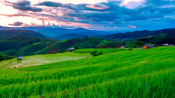 Time Lapse Video Clouds Moving Rice Terrace Fields Bong Piang — 비디오