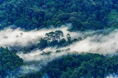 Misty ile güzel bir manzara sabah şafağı Doi Mon Ngao bakış açısı, Chiang Mai kuzey Tayland