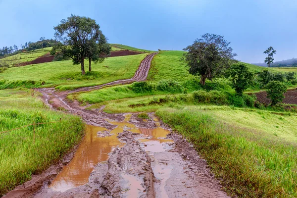 Tire Tracks Muddy Road Countryside Routing Traffic Countryside — Stock Photo, Image