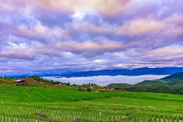 Bulutlu Güzel Bir Manzara Bong Piang Köyü Ndeki Pirinç Tarlaları — Stok fotoğraf