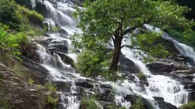 Mae Ya şelalesi Doi Inthanon Ulusal Parkı 'nın en ünlü şelalesidir, Chiang Mai, Tayland. Tayland 'ın en çok ziyaret edilen turistik yerlerinden biri.