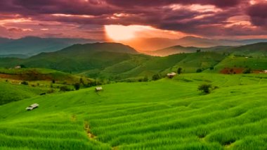 Zaman aşımı videosu 4K, pirinç tarlalarının üzerinde gün batımı Pa Bong Piang köyü Chiang Mai, Tayland 'da suya yansıdı..