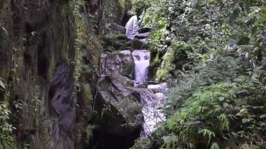 Kuzey Tayland yağmur ormanlarında akarsu. Havza ormanının güzelliği