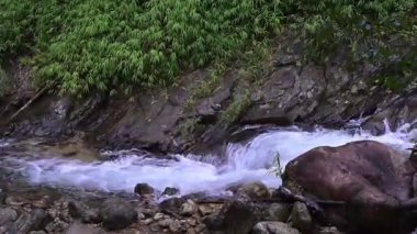 Kuzey Tayland yağmur ormanlarında akarsu. Havza ormanının güzelliği