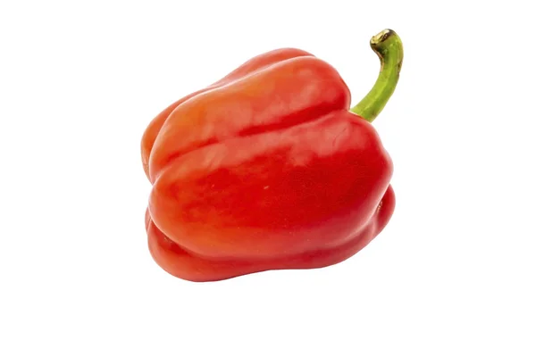 Red bell pepper. isolate on white background. — Stock Photo, Image