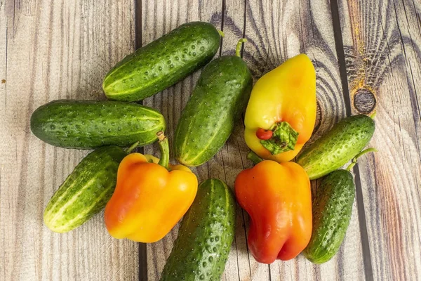 Fa asztalán friss uborka és étkezési paprika. Őszi szüretelésű hálaadás napja. — Stock Fotó