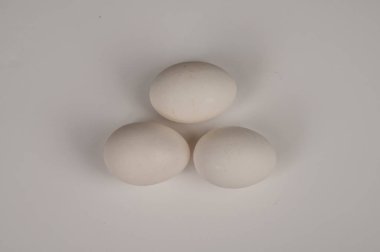 Beyaz arka planda tavuk yumurtası. Yalıtmak