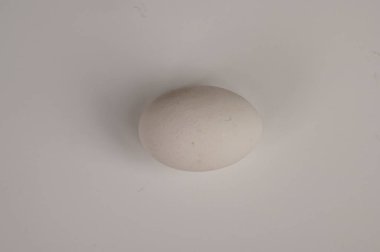 Beyaz arka planda tavuk yumurtası. Yalıtmak