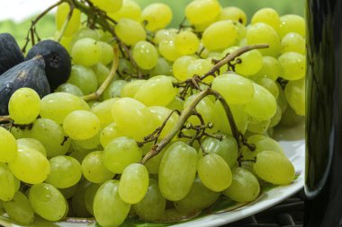 Tabakta taze yeşil üzümler var. Sonbahar hasat bağı.