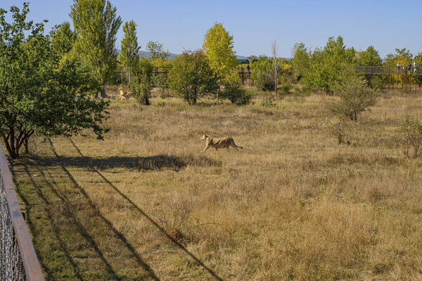 Belogorsk, Crimea, Russia-September 16, 2019: Taigan Safari Park. Panorama of the Park.