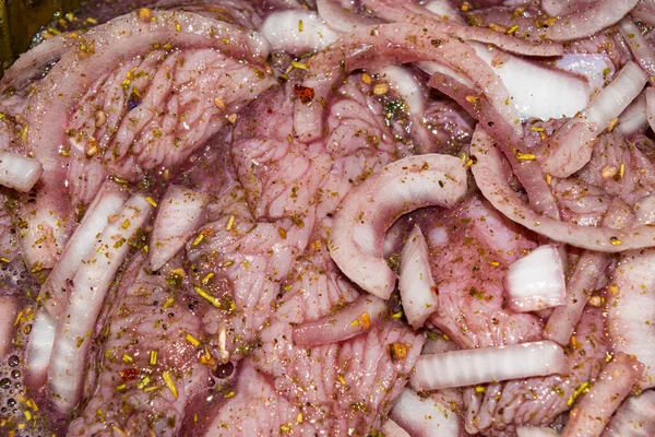 火鸡肉切成块 用红葡萄酒和洋葱及调味品腌制 表面纹理 — 图库照片