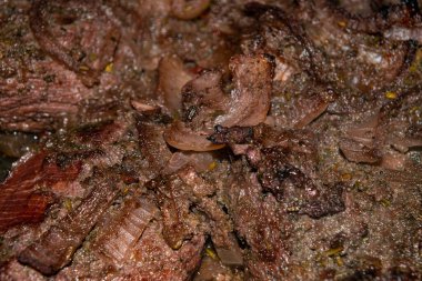 Hindi eti parçalara ayrıldı ve soğan ve baharatla birlikte kırmızı şarapla marine edildi. Yakın çekim, yüzey dokusu
