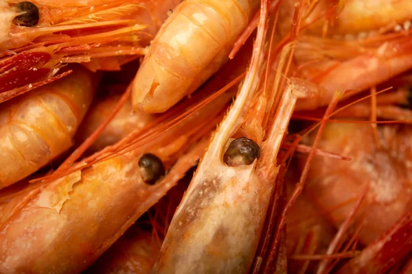 Cooked Atlantic Shrimps Close Traditional Food Coastal Cuisine — Stock Photo, Image