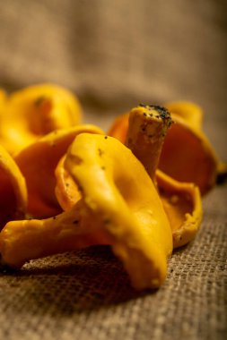 Kabataslak desenli ev yapımı kumaş üzerinde Chanterelle mantarı şeklinde bir yığın kıvırcık kurabiye. Kapat.