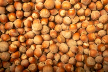 Toptan fındık. Yüzey dokusu. Kapat.
