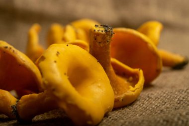 Kabataslak desenli ev yapımı kumaş üzerinde Chanterelle mantarı şeklinde bir yığın kıvırcık kurabiye. Kapat.