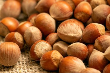 Fındık kabataslak desenli ev yapımı kumaşın arka planına saçılmış. Kapat.