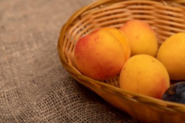 Hasır bir sepette olgun kayısılar ve sulu siyah erikler. Kapatın. Sonbahar hasadı