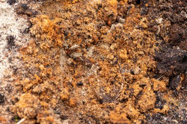 Kum ve toprak karışımının yüzey dokusu, yakın plan.
