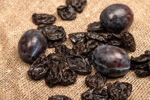 Juicy black plums and dried prunes on a homespun cloth with a rough texture. Close up. Autumn harvest