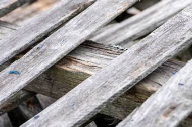 Fırın için uygun eski tahtalar yığını, yakın çekim, seçici odak