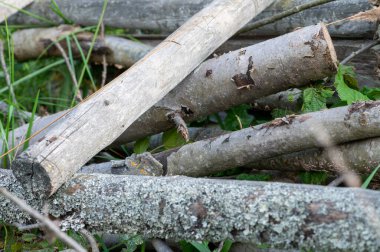 Fırın için uygun eski tahtalar yığını, yakın çekim, seçici odak