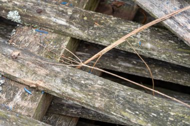 Fırın için uygun eski tahtalar yığını, yakın çekim, seçici odak