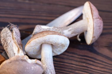 Genç mantarları kes ve tahta saplı bir bıçakla tahta arka planda, yakın plan, seçici odaklanma. Sonbahar hasadı, doğanın armağanları.