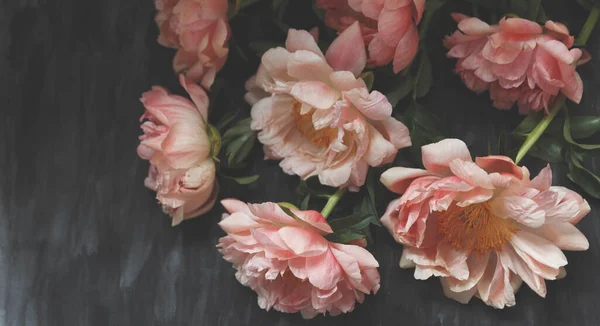 Verwelkte Korallen Pfingstrosen Auf Dunklem Vintage Hintergrund Verblassende Blumen Herbarium — Stockfoto