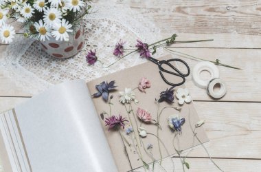 Bitki üretme süreci. Bitki yetiştirmek için kurutulmuş bitkiler ve kurutulmuş çiçekler.