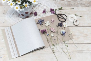 Bitki üretme süreci. Bitki yetiştirmek için kurutulmuş bitkiler ve kurutulmuş çiçekler.