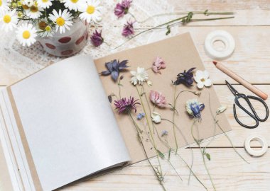 Bitki üretme süreci. Bitki yetiştirmek için kurutulmuş bitkiler ve kurutulmuş çiçekler.