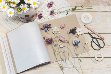 Bitki üretme süreci. Bitki yetiştirmek için kurutulmuş bitkiler ve kurutulmuş çiçekler.