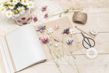 Bitki üretme süreci. Bitki yetiştirmek için kurutulmuş bitkiler ve kurutulmuş çiçekler.